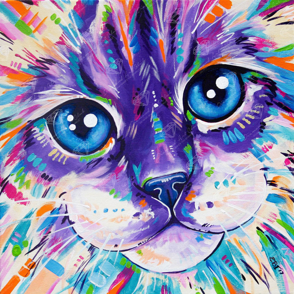 Abstract Cat D7