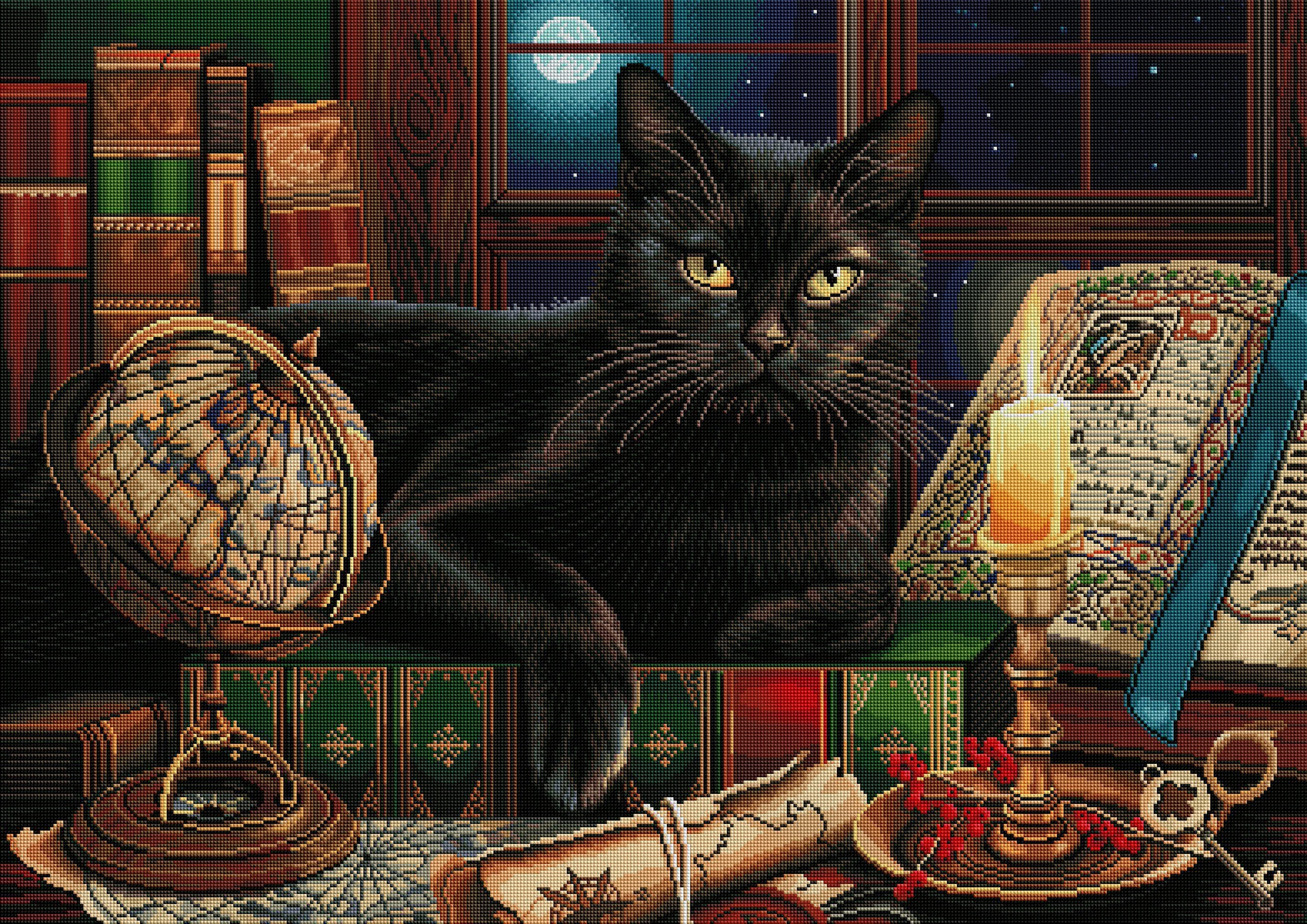 Black Cat by Candlelight T7
