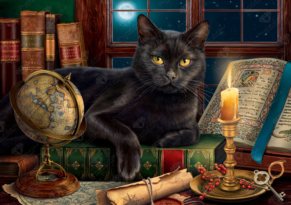 Black Cat by Candlelight T7