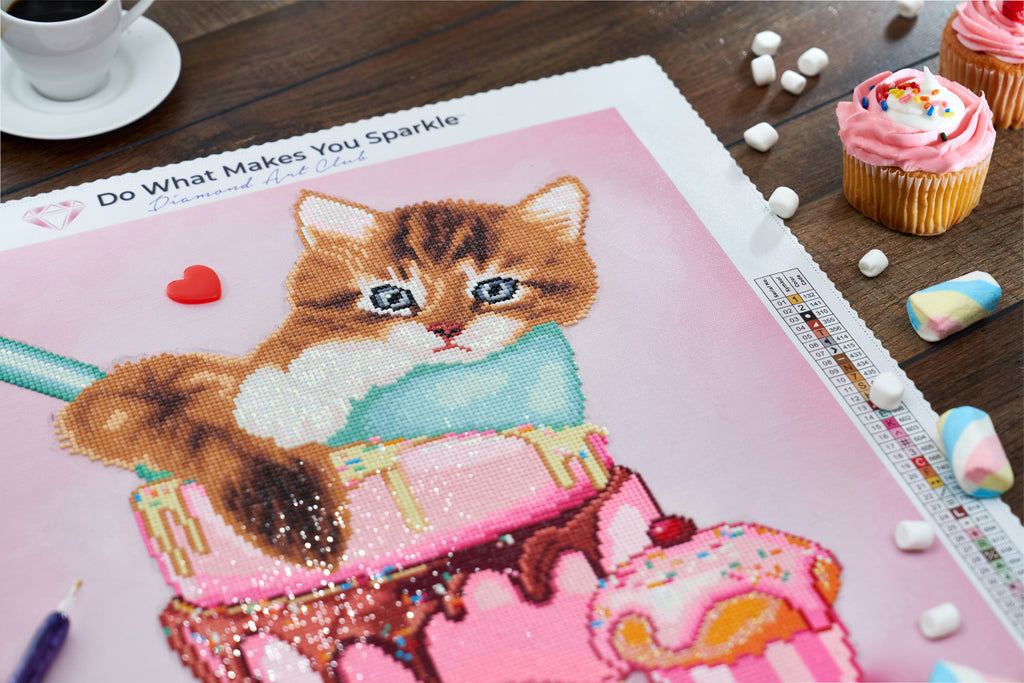 Cat & Cupcake W2