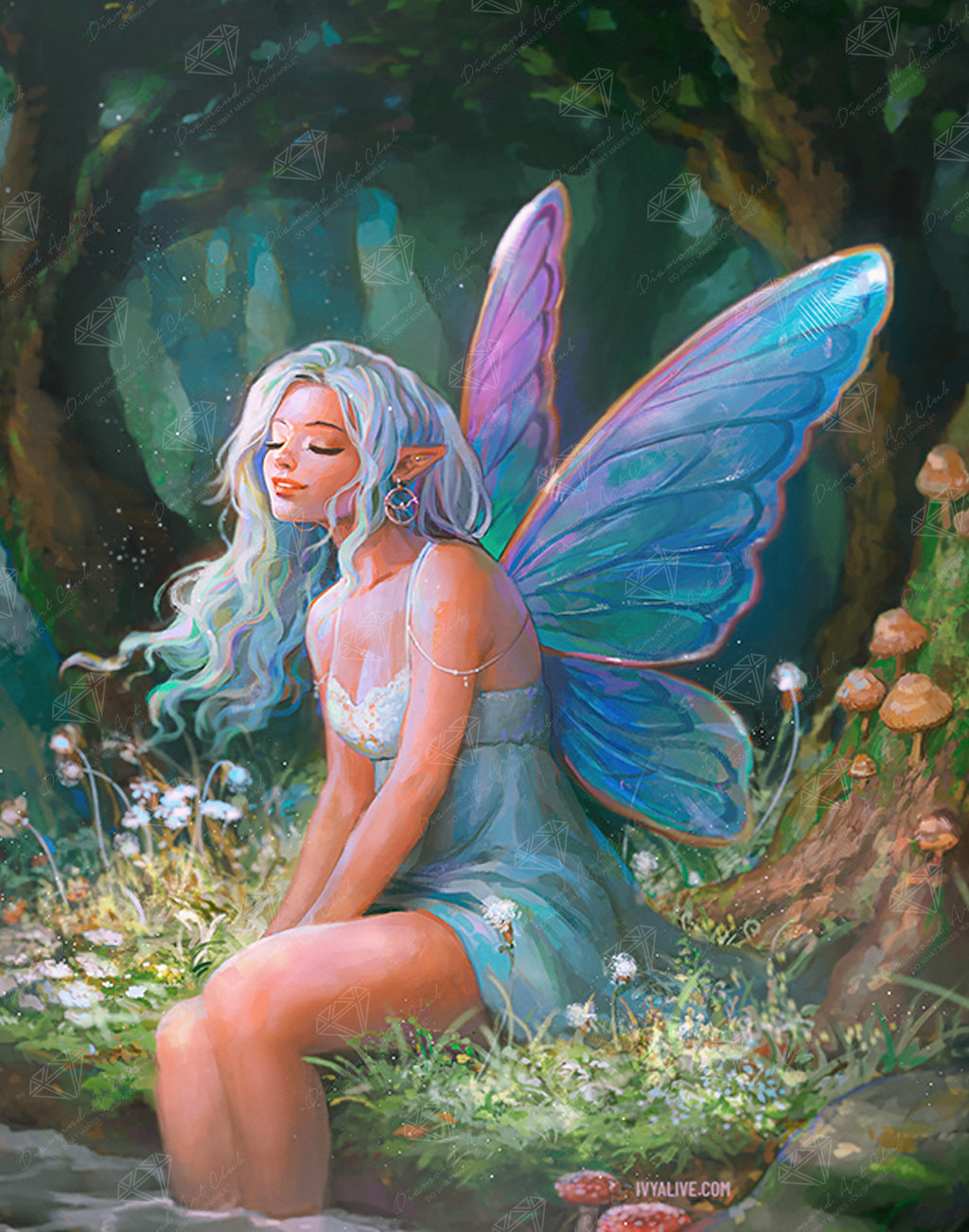 Fairy Lights B2