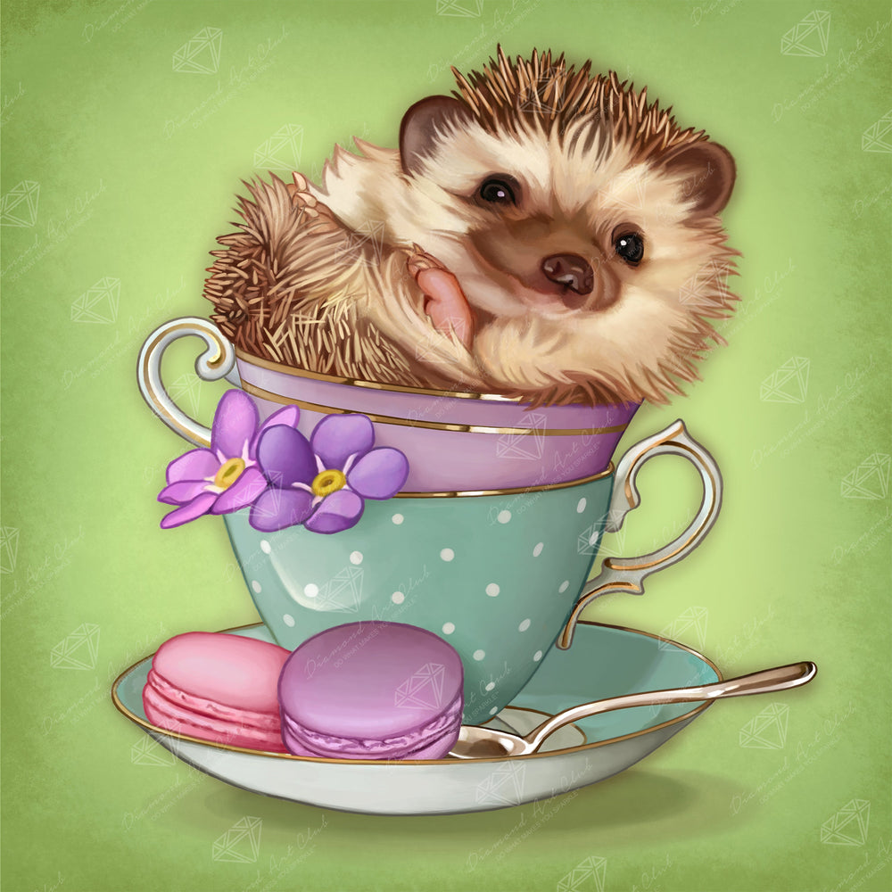 Hedgehog R6