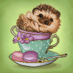 Hedgehog R6