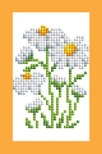 Mini Dazzles™ - Herbs & Medicinal Plants Y2
