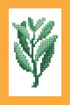 Mini Dazzles™ - Herbs & Medicinal Plants Y2