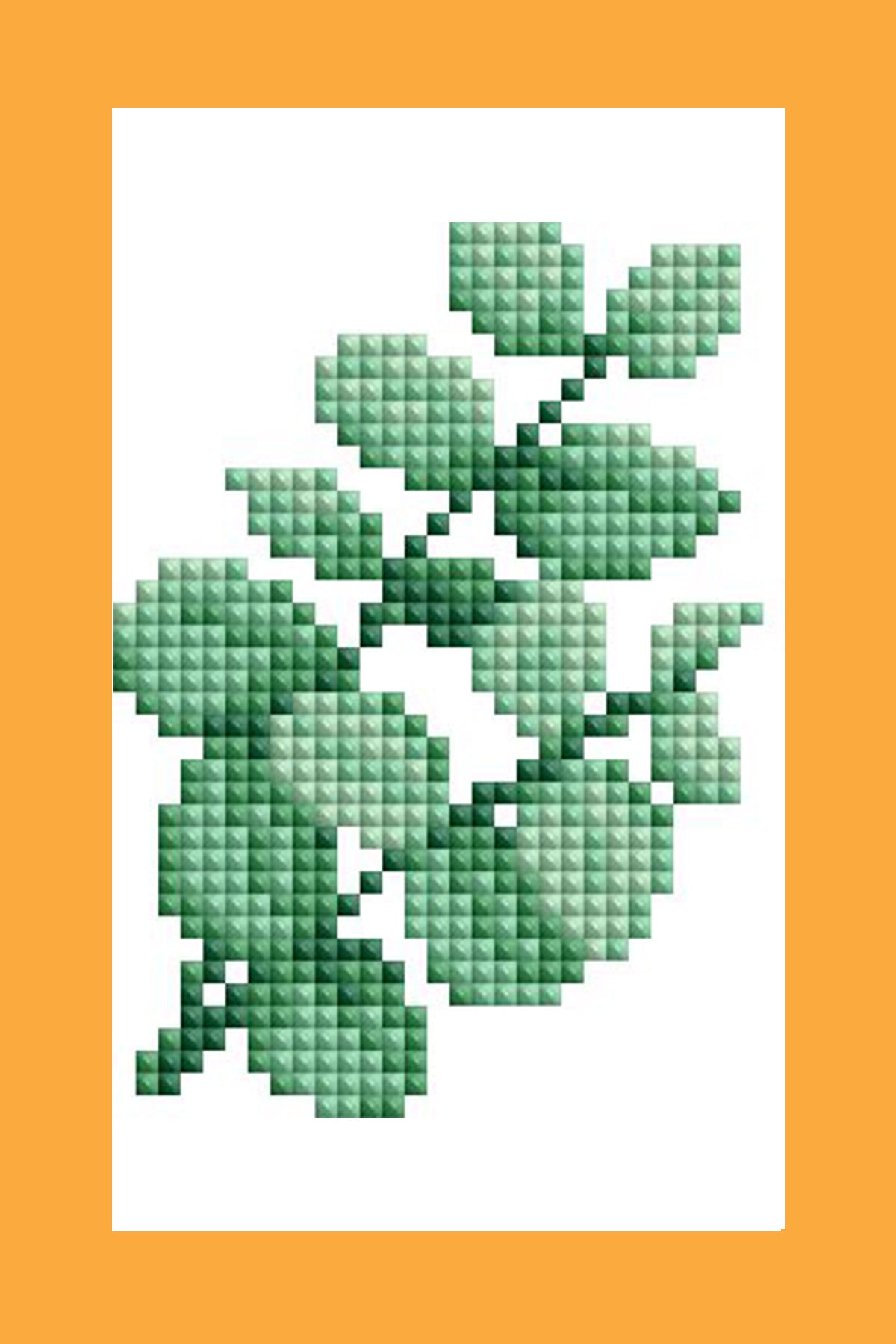 Mini Dazzles™ - Herbs & Medicinal Plants Y2