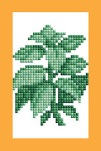 Mini Dazzles™ - Herbs & Medicinal Plants Y2