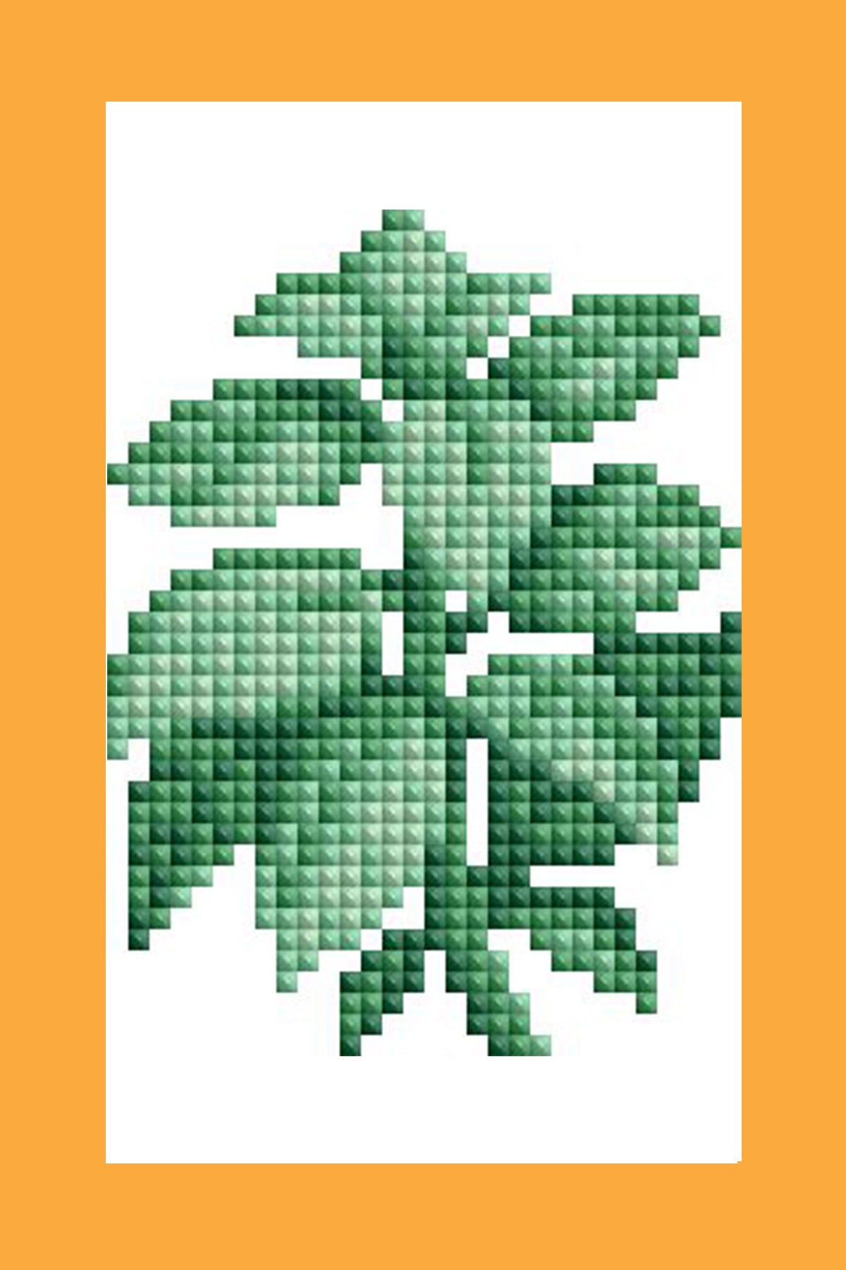Mini Dazzles™ - Herbs & Medicinal Plants Y2
