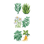 Mini Dazzles™ - Herbs & Medicinal Plants Y2
