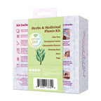 Mini Dazzles™ - Herbs & Medicinal Plants Y2