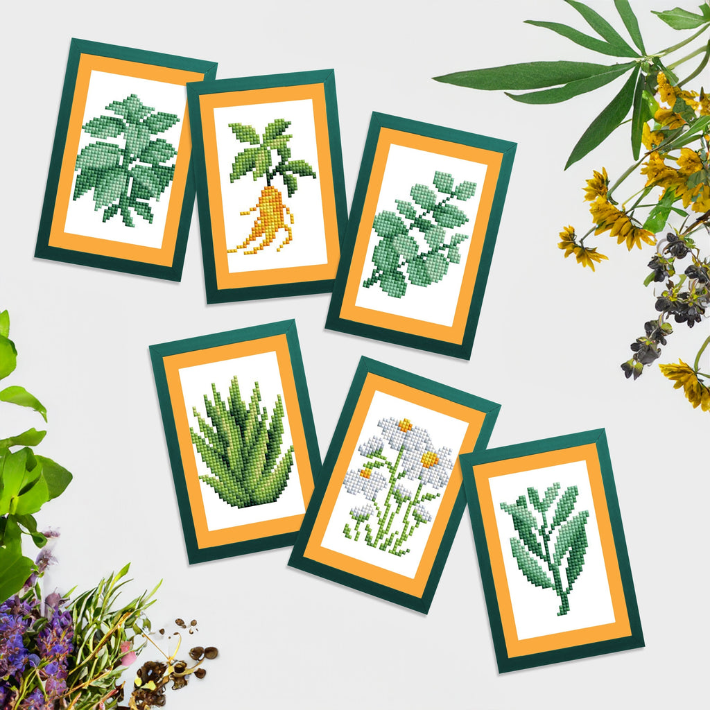 Mini Dazzles™ - Herbs & Medicinal Plants Y2
