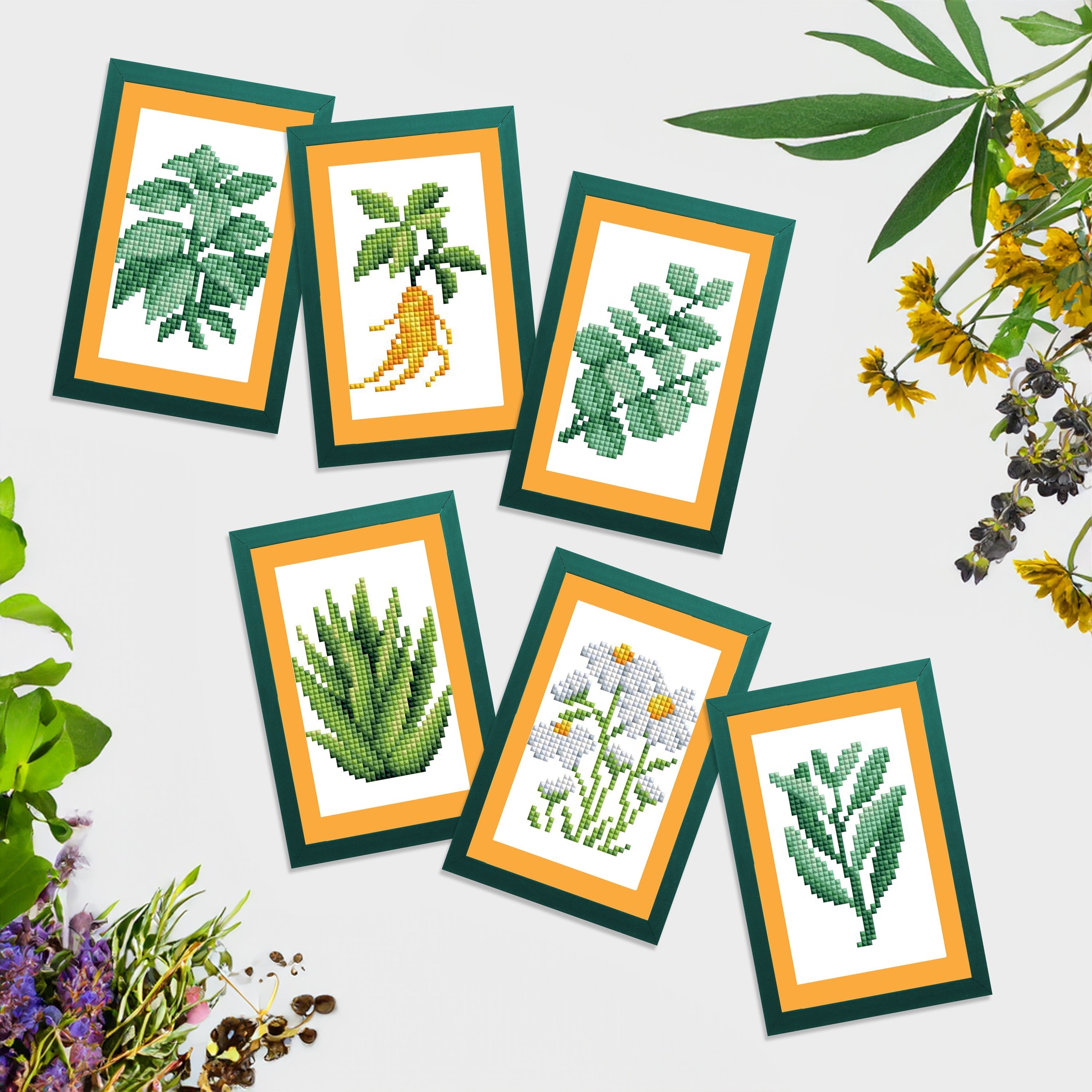 Mini Dazzles™ - Herbs & Medicinal Plants Y2