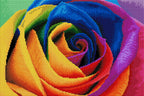 Rainbow Flower Petals W6