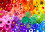 Rainbow Flower Power A0