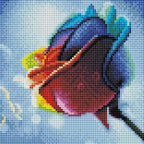 Rainbow Rose V4