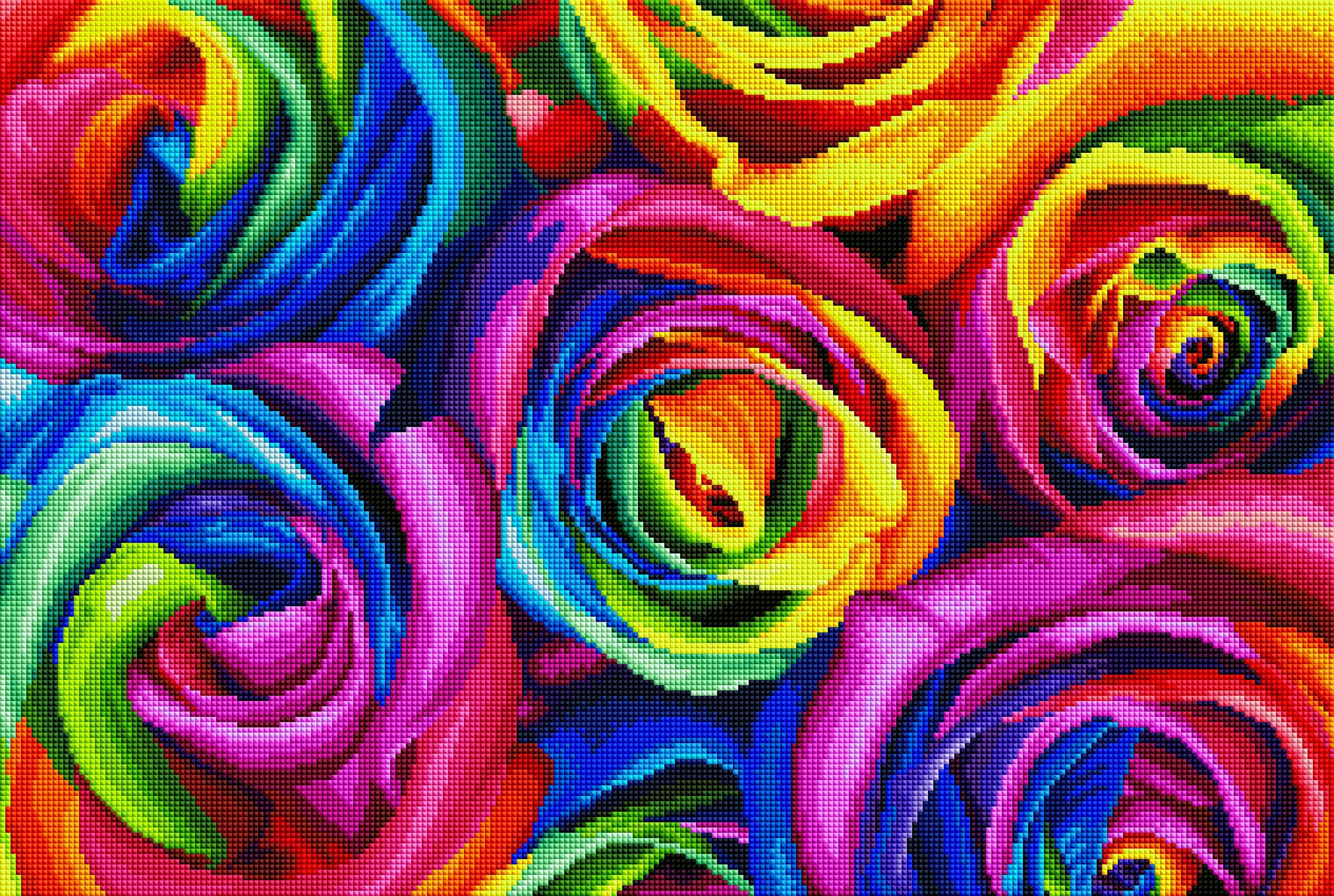Rainbow Roses G1