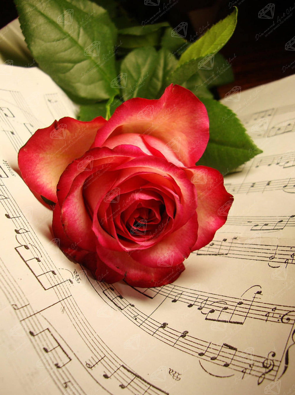 Rose Music Sheet Y8