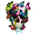 Soul's Colors T8