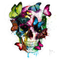 Soul's Colors X0