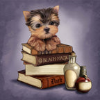 Yorkie & Magic Books J8