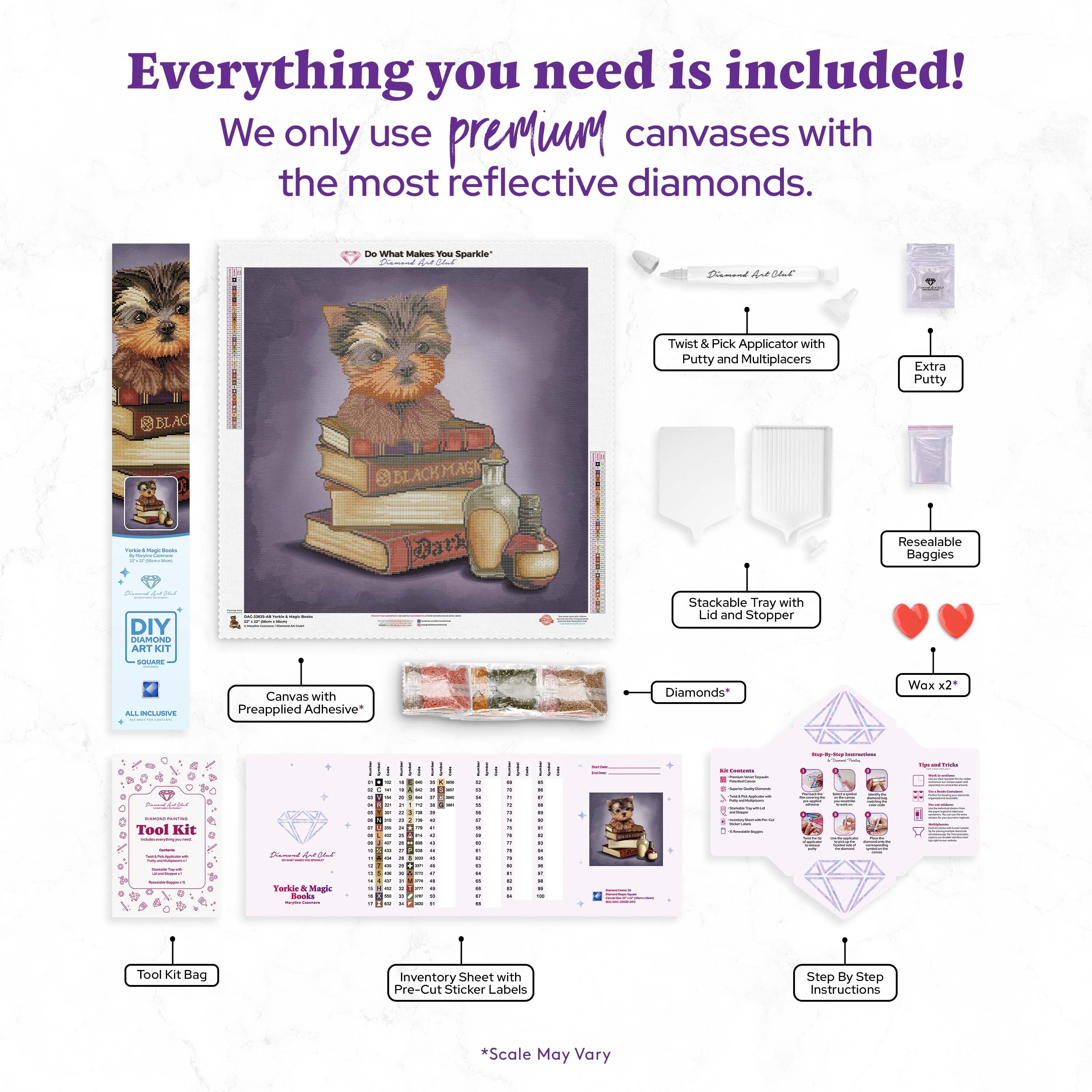 Yorkie & Magic Books J8