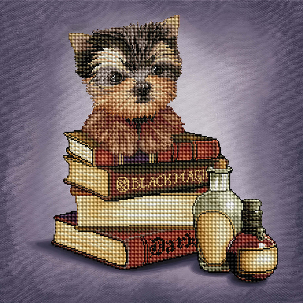 Yorkie & Magic Books J8